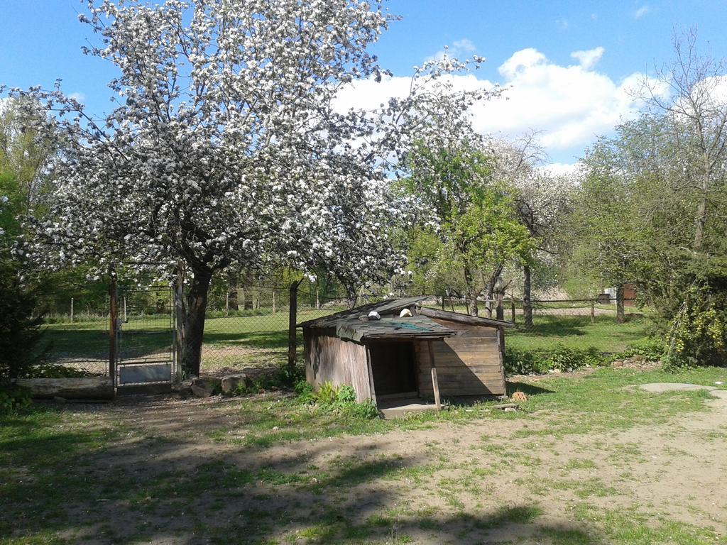 Chata Zahrada Madeta Veselí nad Lužnicí Exteriör bild