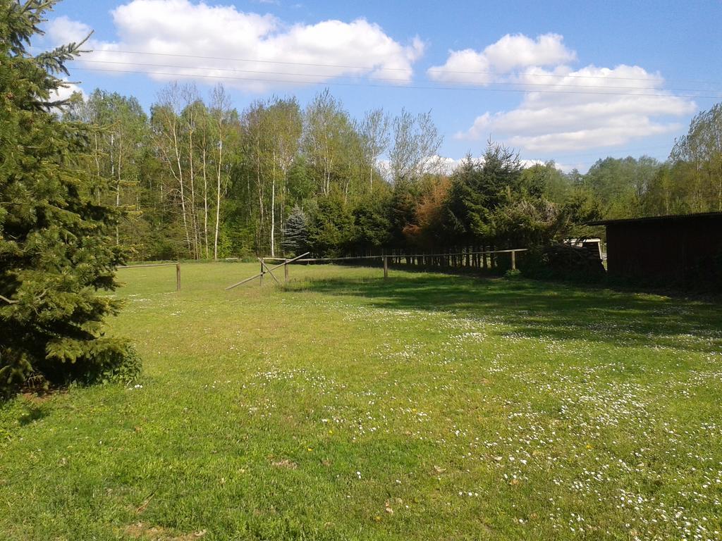 Chata Zahrada Madeta Veselí nad Lužnicí Exteriör bild
