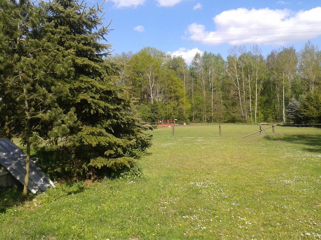 Chata Zahrada Madeta Veselí nad Lužnicí Exteriör bild