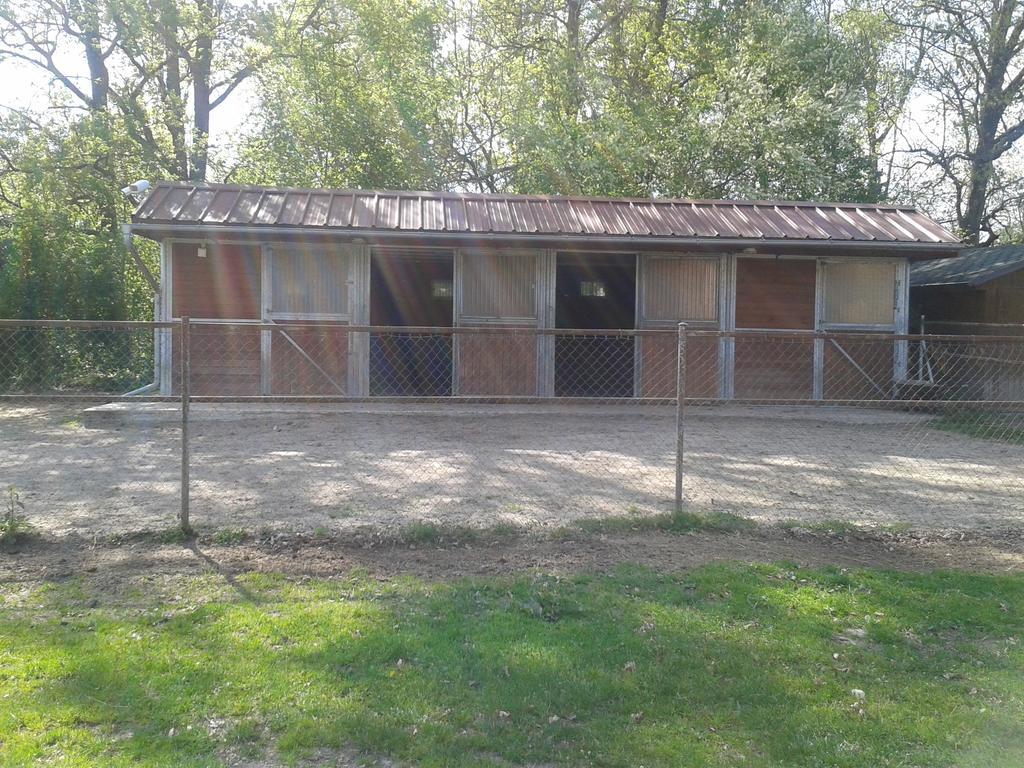 Chata Zahrada Madeta Veselí nad Lužnicí Exteriör bild
