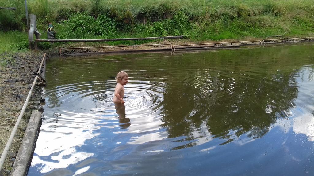 Chata Zahrada Madeta Veselí nad Lužnicí Exteriör bild